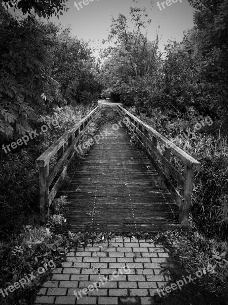 Bridge Wooden Bridge Mystical Fairytale Mood