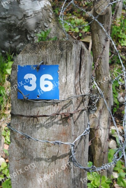 House Number Number Digit Blue Shield