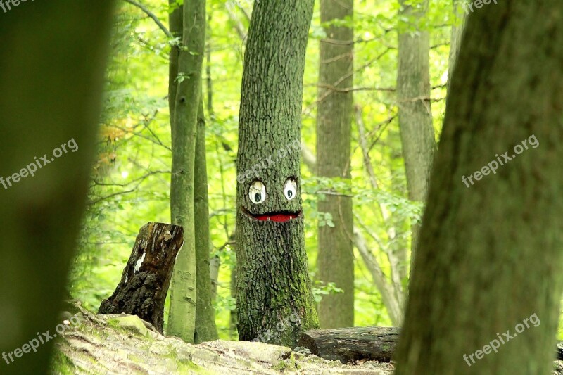 Tree Face Log Mystical Tree Face