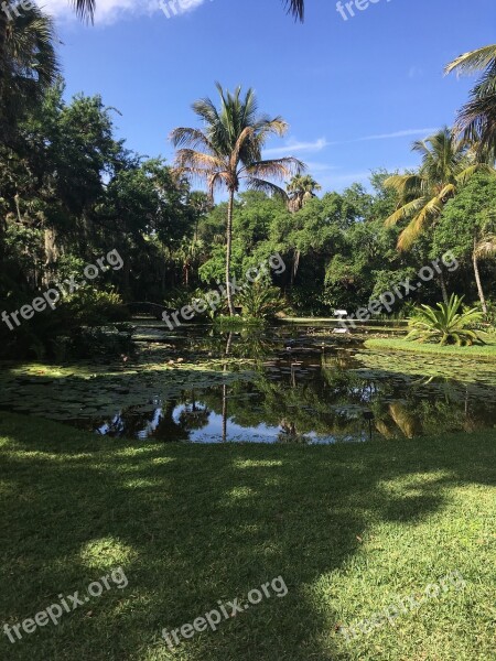 Pond Water Bo Nature Garden