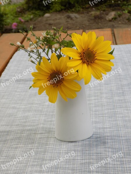 Summer Flowers Yellow Vase Garden Table Free Photos