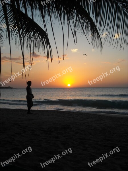 Jamaica Sunset Beach Island Sea