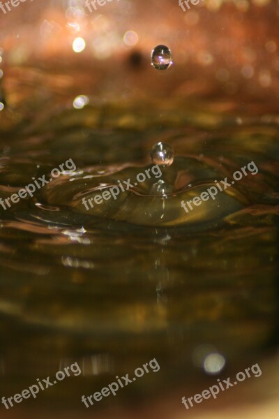 Water Drip Close Up Drop Of Water Hochspringender High Drop