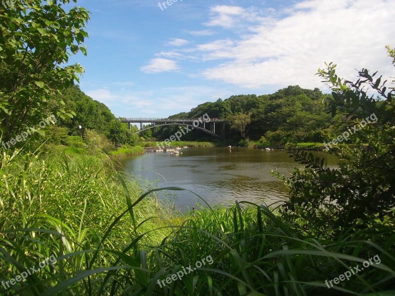 Japan Tokyo Lake Andersen Park Free Photos