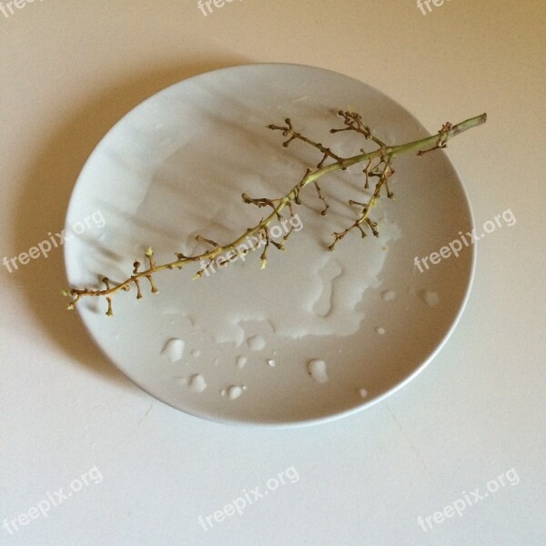 Raisin Grape Stalk Istanbul Plate Water Drop