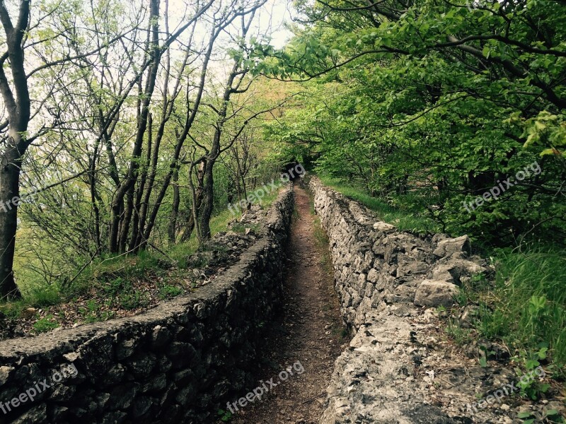 Trail Mountain Nature Trenches Trench