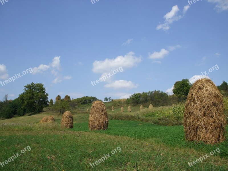 Farmland Haystacks Countryside Rural Agriculture