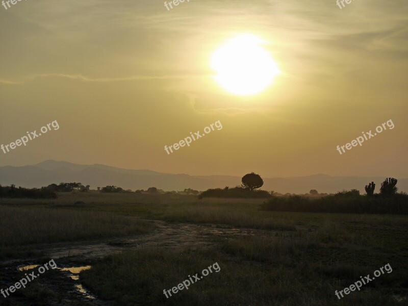 Dusk Savannah Uganda Queen Elisabeth National Park