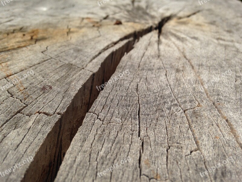 Wood Crack Tree Bark Texture