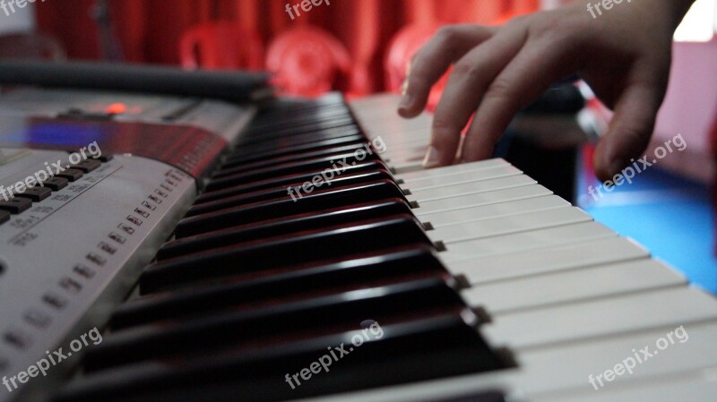 Music Hand Playing Musical Instrument