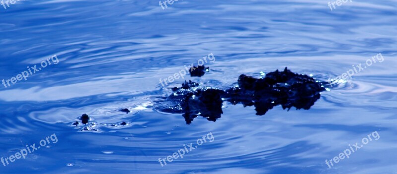 Water Rocks Ripples Nature Stone