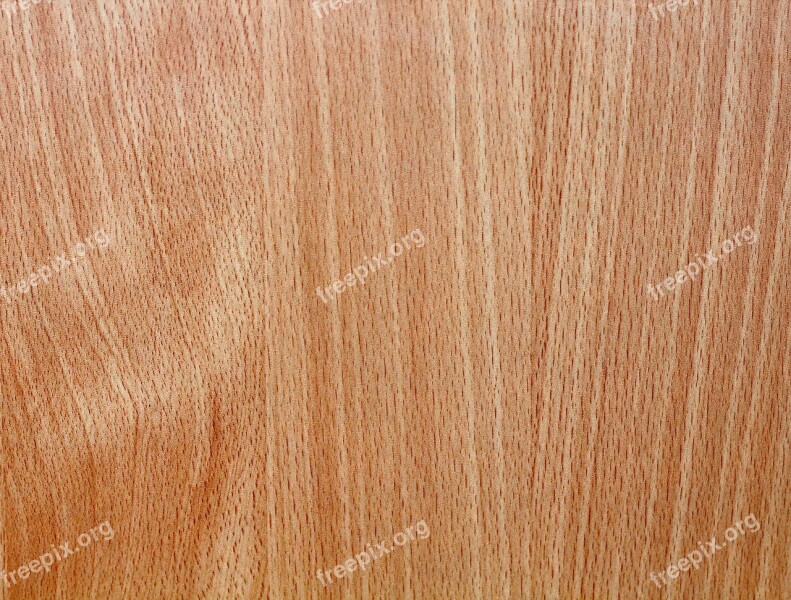 Wood Timber Grain Texture Wood Texture