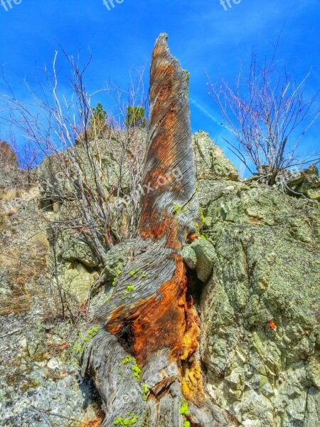 Stump Mountain Orange Hiking Adventure