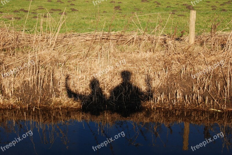 People Silhouette Waving Greetings Water