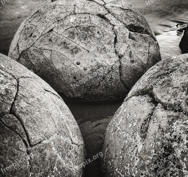 Kennedy Rocky Beach Marine New Zeland