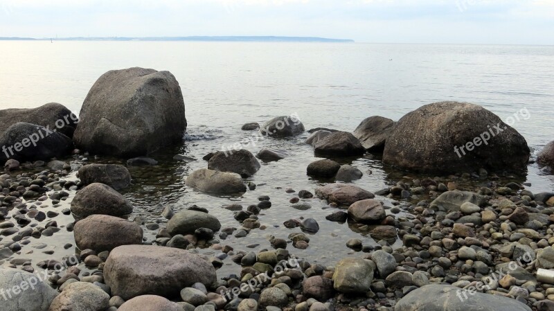 Beach Water Mussels Stones Coast