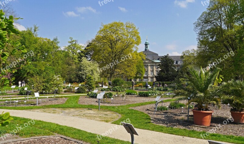 Botanical Garden Castle Park Münster Westfalen Stadtschloss