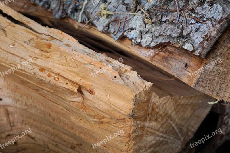 Wood Firewood Structure Sawed Off Tribe