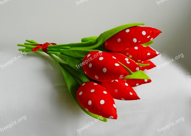 Tulips Bouquet Woman Posy Flowers