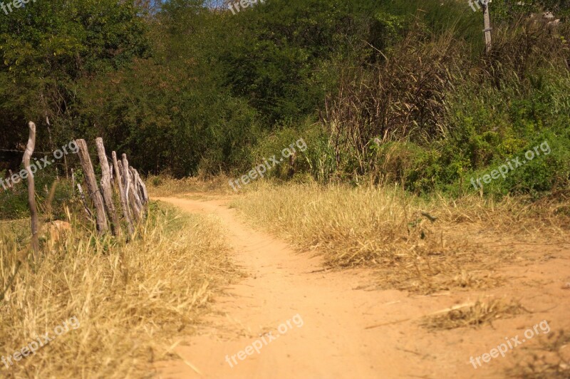 Road About Path Dirt Road Backcountry