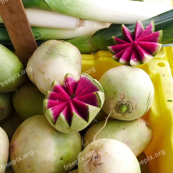 Radish Vegetables Exotic Vegetables Organic Garden