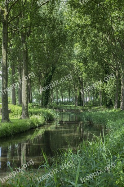 Bruges Lady Channel Light Nature