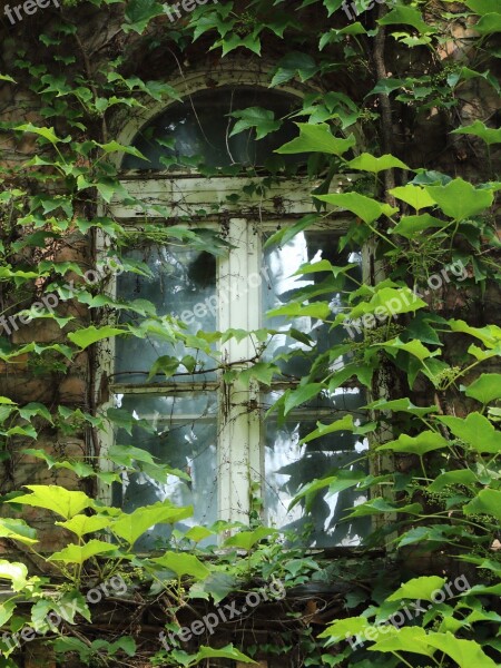 Window Margaret Island Amber Abandoned House