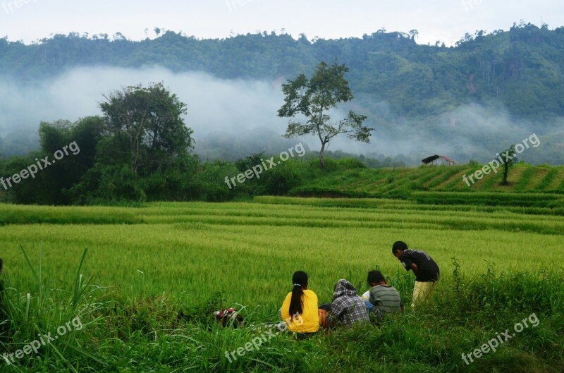 Field Rice Kids Mountains Nature Travel