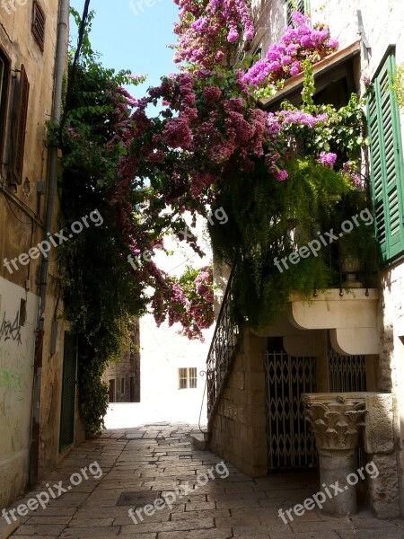 Flowers Bridge Balcony Flowers Passage Flowers Bow