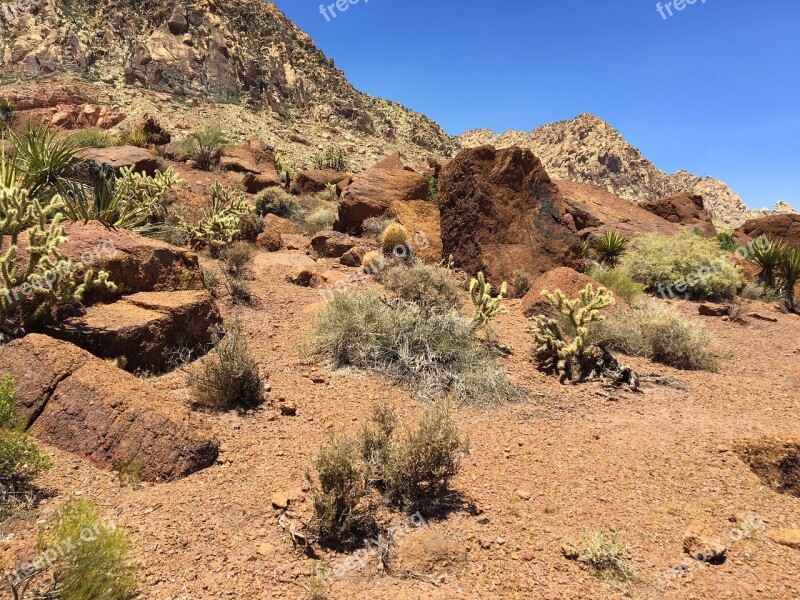 Desert Rocks Nature Red America