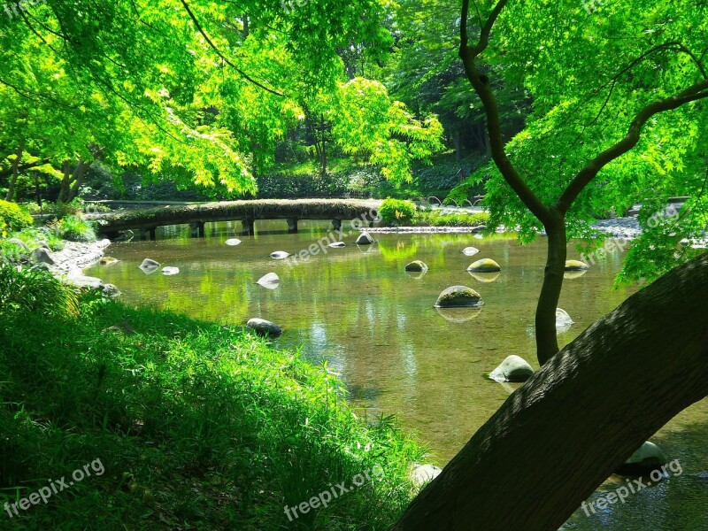 Tokyo Japanese Garden Pond Green