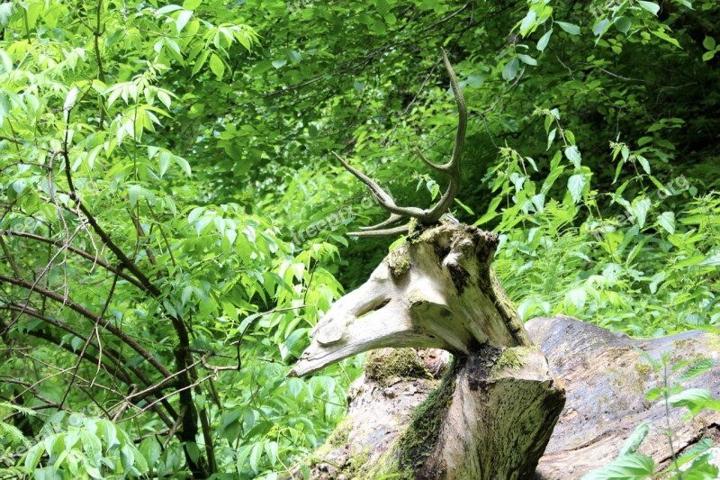 Deer Antler Statue Forest Sculpture Figure