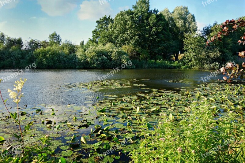 Pond Waterlilies Park Landscape Scenic