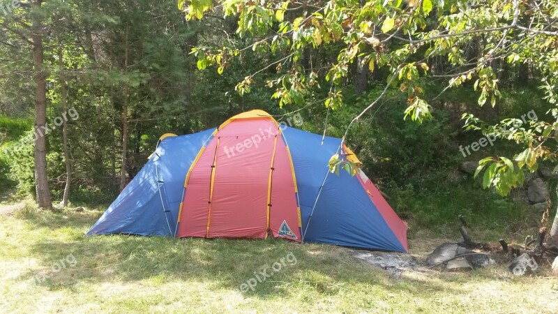 Camping Tent Forest Nature Outdoors