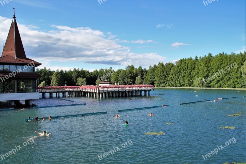 Hévíz Lake Thermal Therapy Hydrotherapy