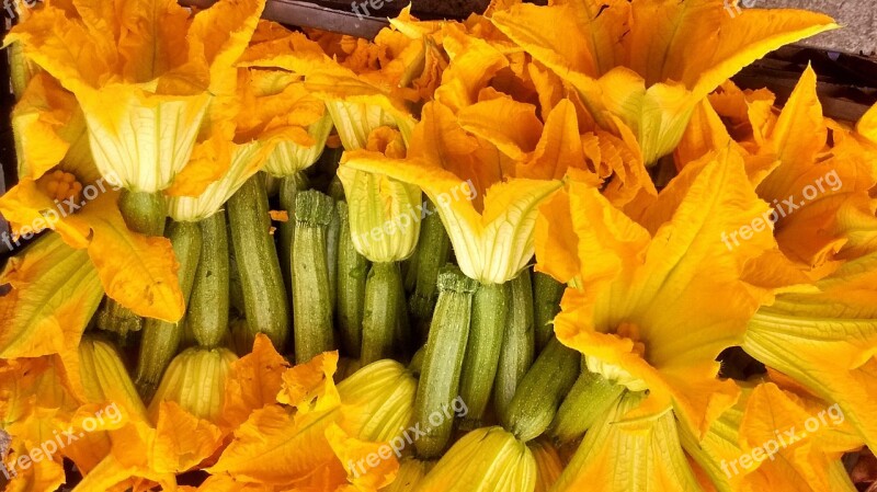 Yellow Flowers Pumpkin Shortness Clumsiness