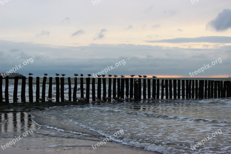 Cadzand-bad Netherlands Holland North Sea Breakwater