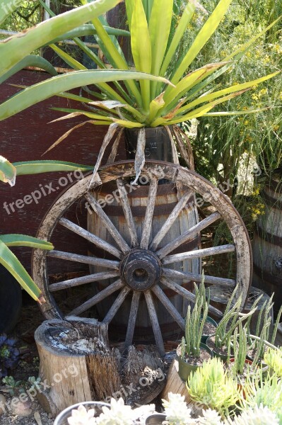 Plants Green Nature Growth Leaf