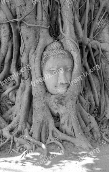 Ayutthaya Buddha Buddhism Asia Face