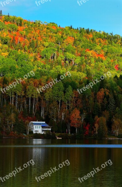 Landscape Autumn Nature Tree Mountain