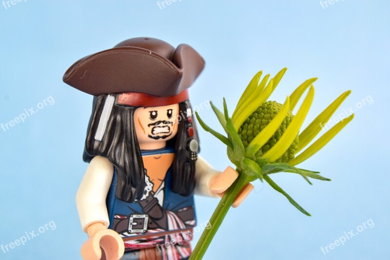 Lego Pirate Flower Captain Pirates