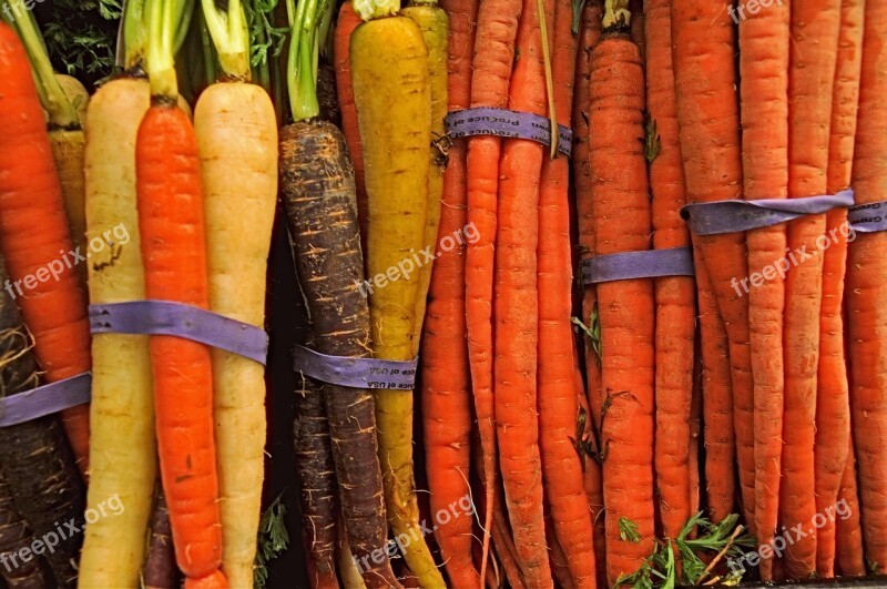 Carrot Carrots Produce Usa Food