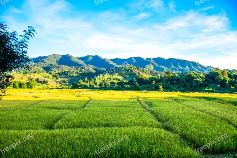 Farmland Land Field Piece Sheet