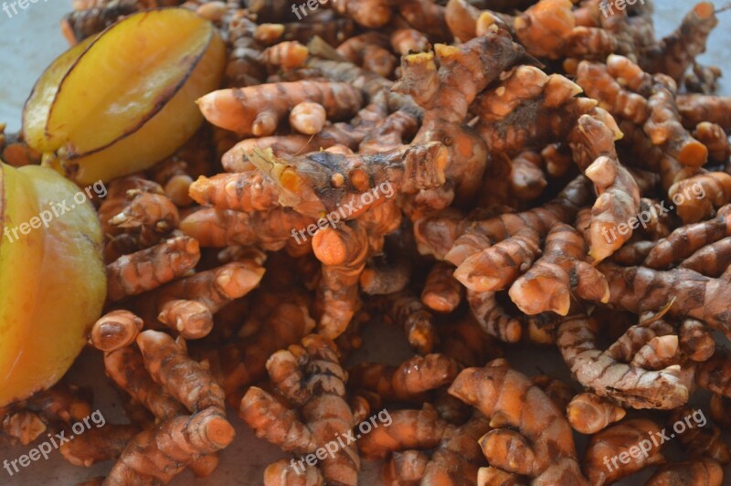 Turmeric Fresh Root Spice Curry