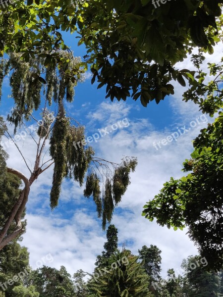 Blue Clear Sky Ooty India Free Photos