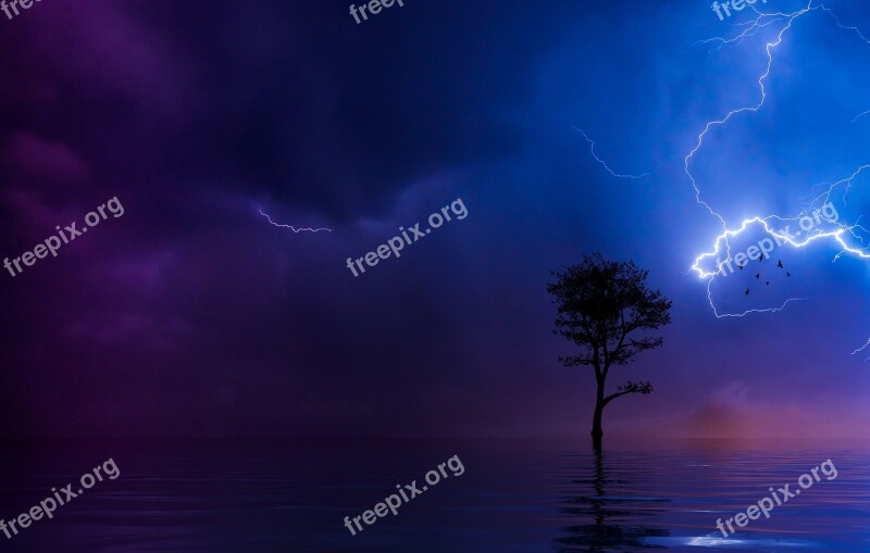 Lightning Tree Silhouette Ocean Lake