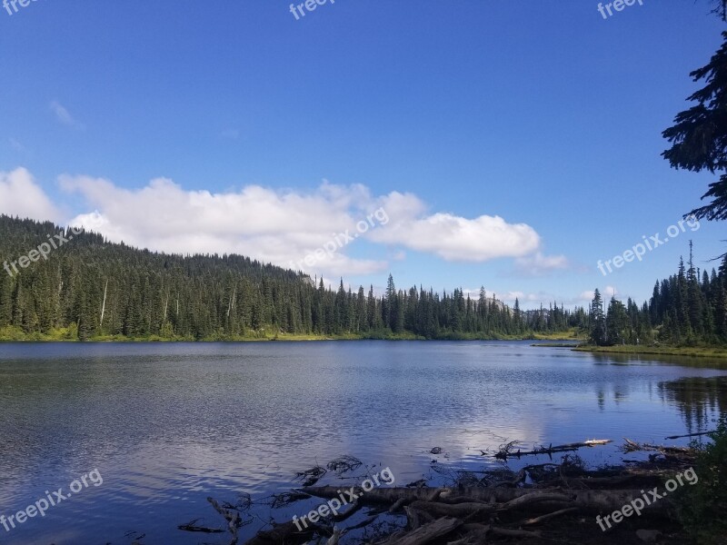 Trees Water Nature Landscape Lake