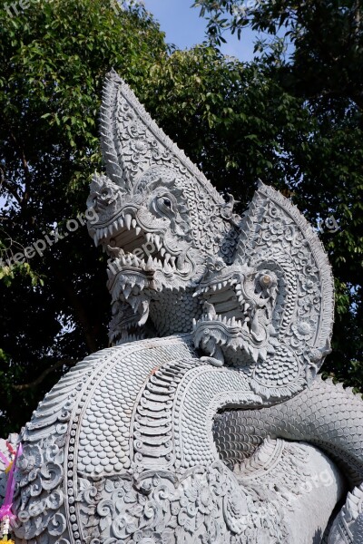 Serpent King Of Nagas Great Naga Free Photos