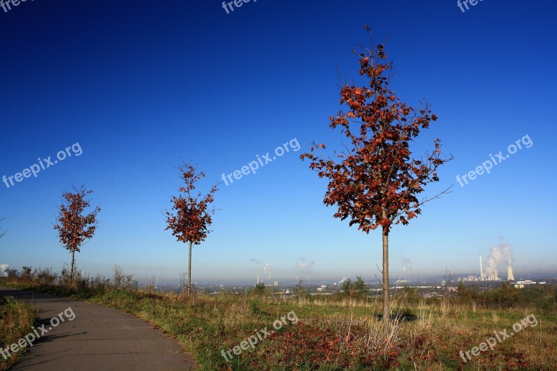 Dump Distant View Trees Fall Foliage Sky