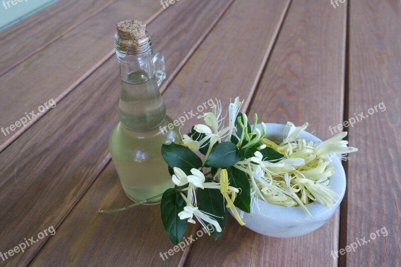 Honeysuckle Simple Syrup Edible Free Photos